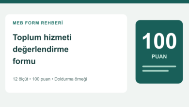 Toplum hizmeti değerlendirme formu 12 ölçüt 100 puan rehberi