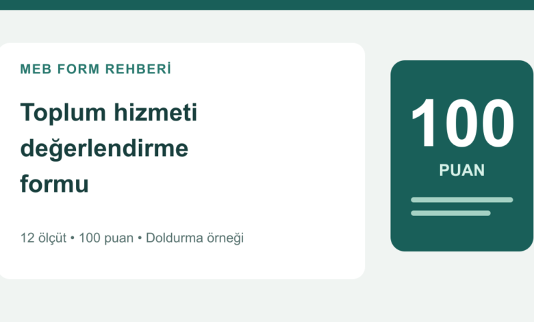 Toplum hizmeti değerlendirme formu 12 ölçüt 100 puan rehberi